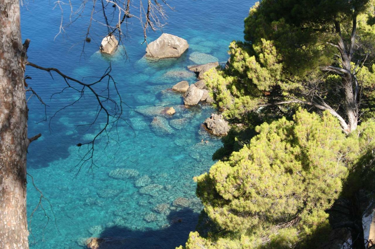 Son Riera Petit Paradis Баньяльбуфар Екстер'єр фото
