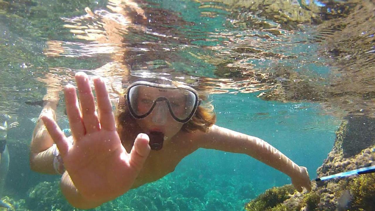Son Riera Petit Paradis Баньяльбуфар Екстер'єр фото